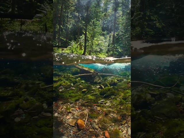 Nature's Symphony Waterfall Stream Sounds for a DEEP Sleep #Relaxing Videos| #relaxingsounds