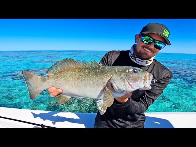 AMAZING REEF FLATS FISHING.