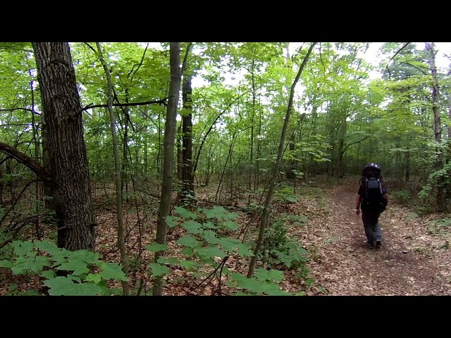 Trial Run with my Full Backpack for my Solo 8 Days hiking on Isle Royale National Park - August 2021