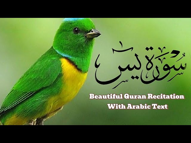 Surah Yasin (Yaseen) Full سورۃ یس | Yasin Surah Full With Arabic Text