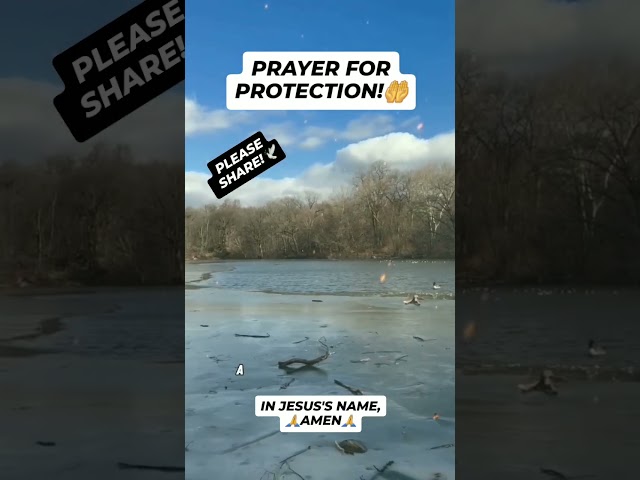 Prayer For Protection! 🙏✝️🕊 #god #love #jesus #prayer #motivation #inspiration #faith #life #shorts