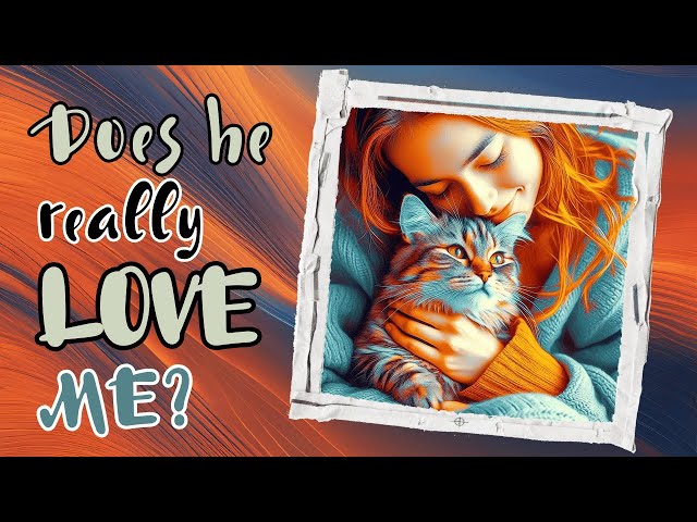 How much does your Cat LOVE you? Look for these 13 Signs!