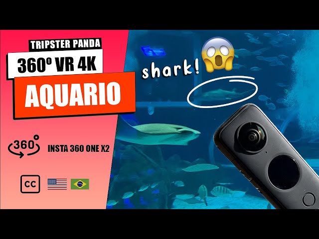 360 4K AquaRio: Underwater Tunnel Tour | Rio de Janeiro, Brazil