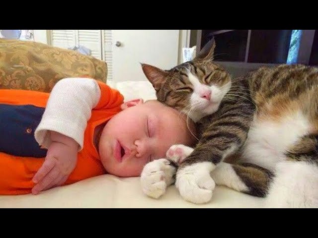 When your cat is the best babysitter 👶❤️🐱 Cute cats and little human