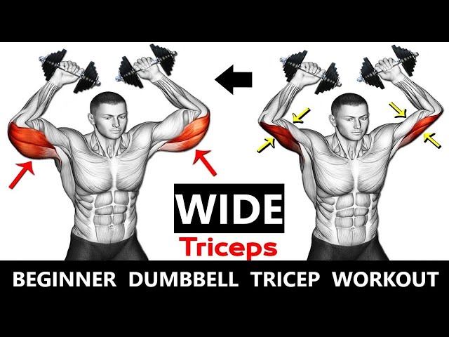 BEGINNER DUMBBELL TRICEP WORKOUT  MUSCLE BUILDING WORKOUT