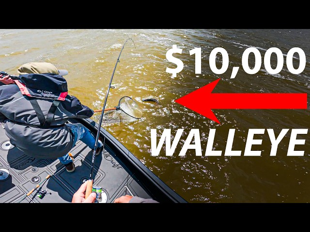 MONSTER Fish Worth $10,000!!! (11 Lake Challenge)