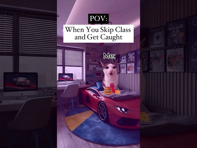 Pov: When You Skip Class and Get Caught cat memes family fun #catmemes #funnycats #familyfun #school