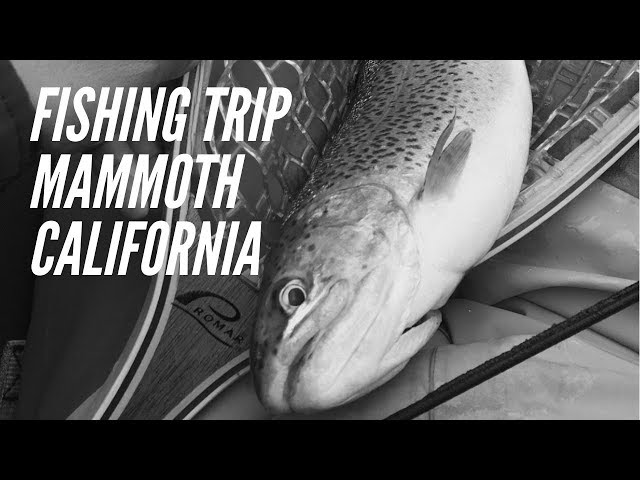 Fishing Mammoth CA