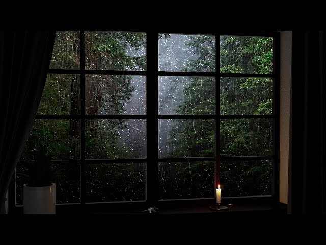 Cozy Foggy Forest Rain Ambience 🌧️ Distant Thunder Sounds for Sleeping, Focus, Study and Relaxation