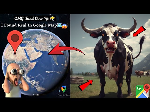 🐮😶‍🌫️I Found Strange Cow In Google Map🗺️? #trending #map #scary #viralvideo  #datadefender4u