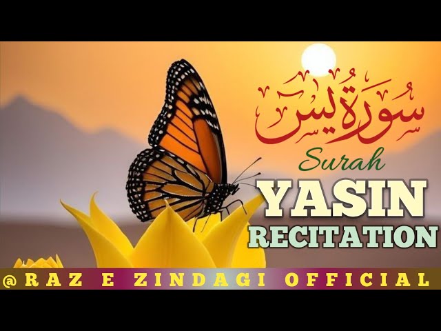 Surah Yasin (yaseen) Qari Tariq Muhammad | The Most Powerful Surah