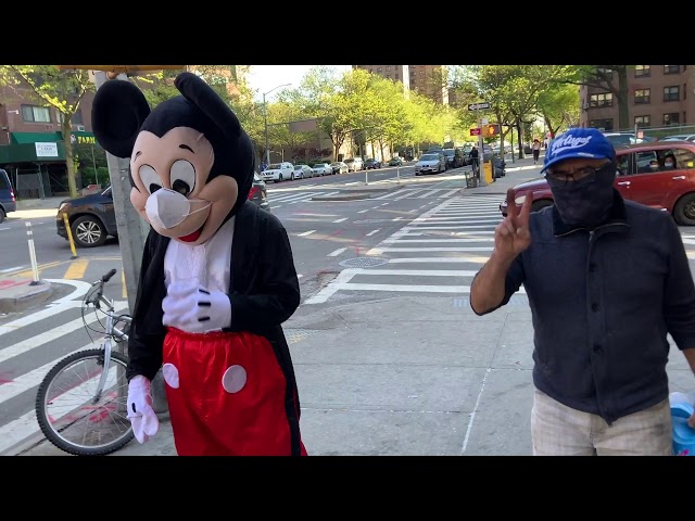 Mickey in NYC Quarantine 2020