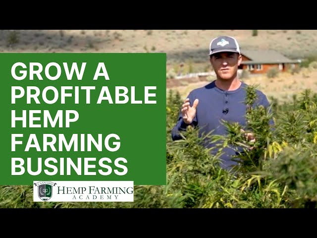 Our Hemp Farming Story - How to grow a profitable CBD hemp farm in 2023