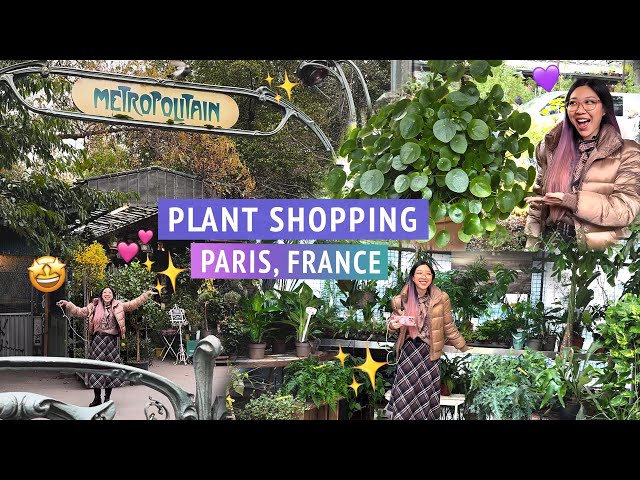 Let's go plant shopping in PARIS!! 🌿🇫🇷✨ Houseplants for sale at Marche aux Fleurs 🤩🌷