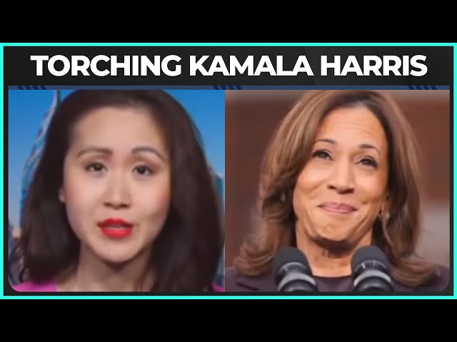 Democrat TORCHES Kamala Harris Over Plans To Run AGAIN