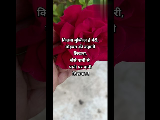 #romanticlovelinesinhindi # best love shayari #romanticloveshayri