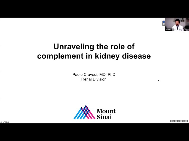 Unraveling the Role of Complement in Kidney Disease