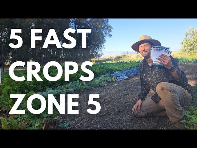 5 Fast Growing Vegetables for Zone 5 Gardeners little time & space