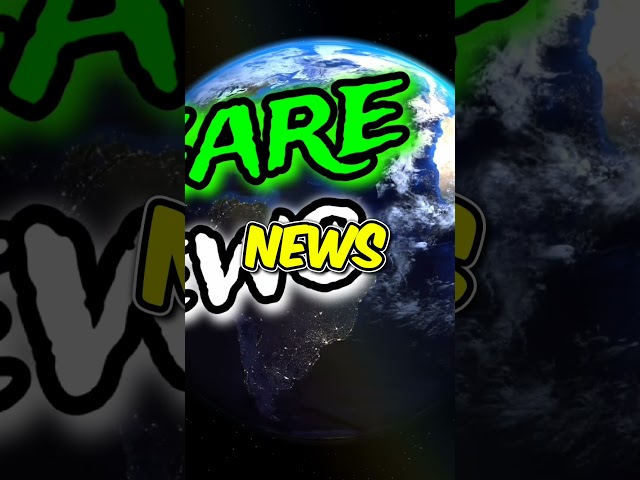 Bizzare News Is Back!🔥