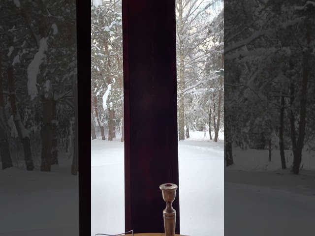 COZY HOUSE in the winter forest.