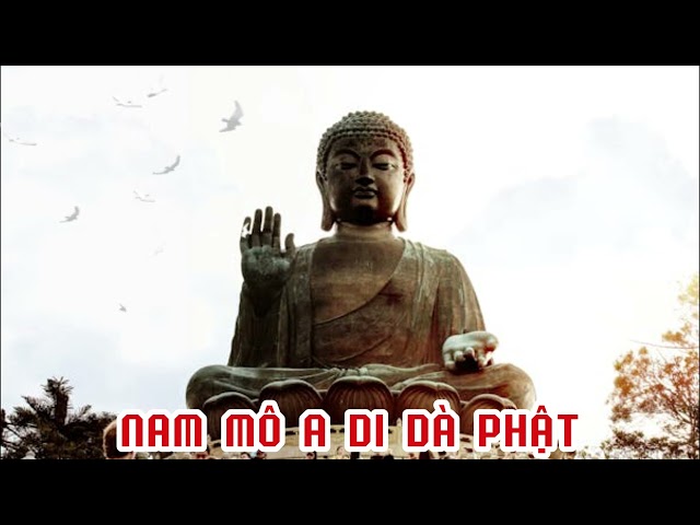 Lời Phật Dạy: Thân Tâm Tự Tại - Sống Biết Đủ - Thì Cuộc Sống Mới An Lạc