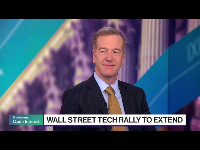 Wilson on Stocks in 2025, Volatility, Fed, Correction Call