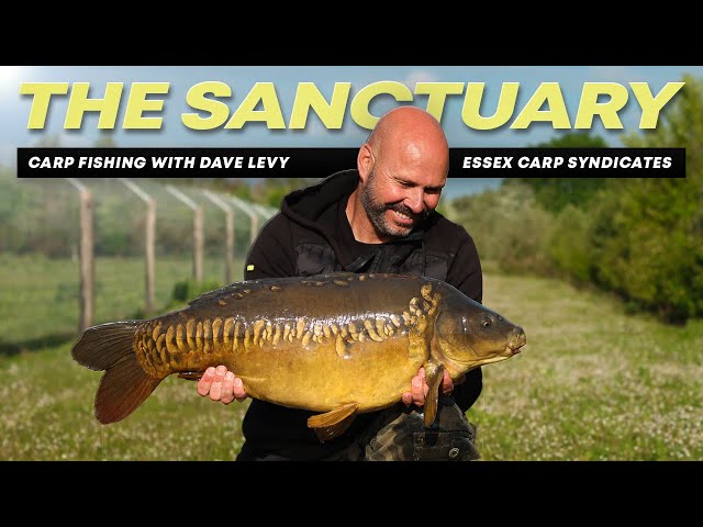 CARP FISHING at The Sanctuary Lake with carp angling pro Dave Levy | Mainline Baits Carp Fishing TV