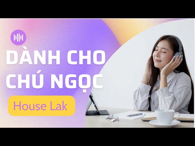 💥Dành Cho Chú Ngọc💥MIXSET MIXTAPE DEEP HOUSE & HOUSE LAK💥