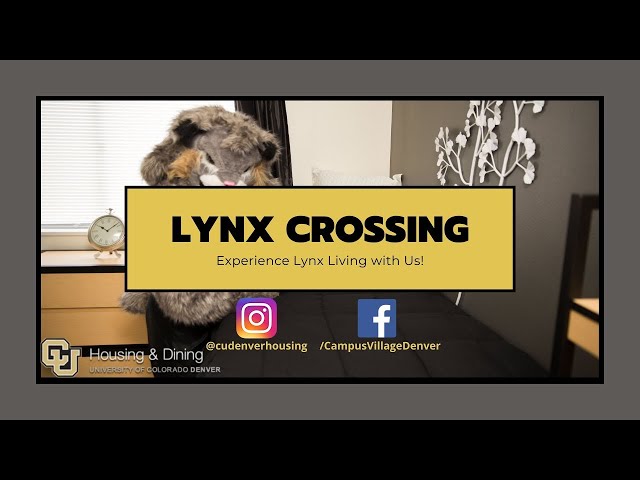 Laundry Facility! | Lynx Crossing