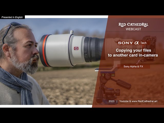 Sony tech - Copy cards in-camera (A7IV, A7III, A7RV, FX30, A1..) #shorts #sony #sonymenu #sonyalpha