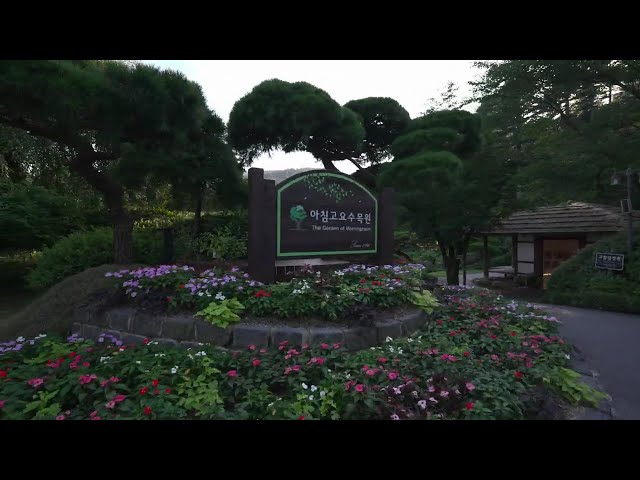 The Garden of Morning Calm, which I visited in midsummer🌲 | Gapyeong South Korea 4K HDR