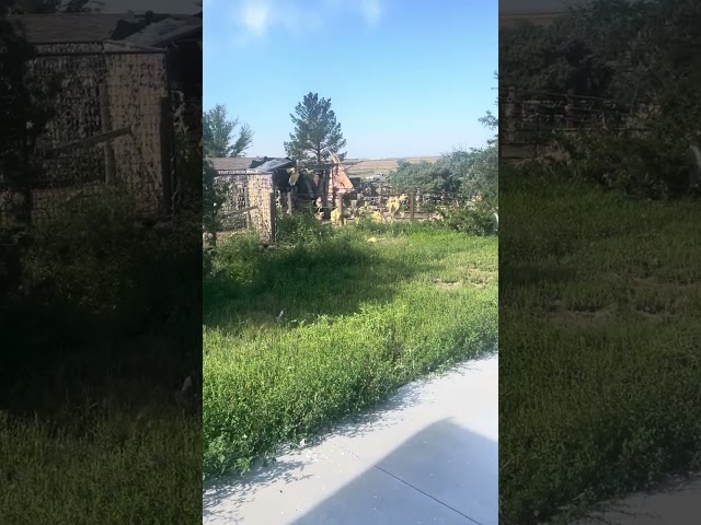 Damage in Yuma CO at the Monk homestead