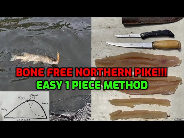 Bone Free Northern Pike!!! Best Debone Method!! #northernpike