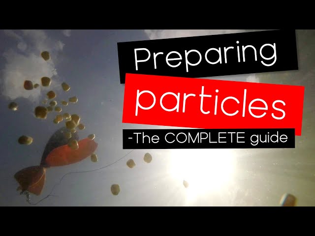 4 ways to prepare particles for carp/tench/bream fishing - Breamtime S5 E7