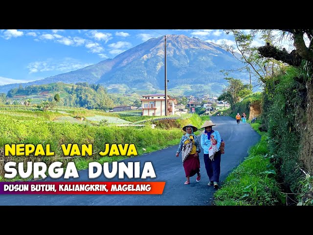 SURGA DUNIA !! PEMANDANGAN ALAM DESA NEPAL VAN JAVA DI GUNUNG SUMBING - Cerita Desa Butuh, Magelang