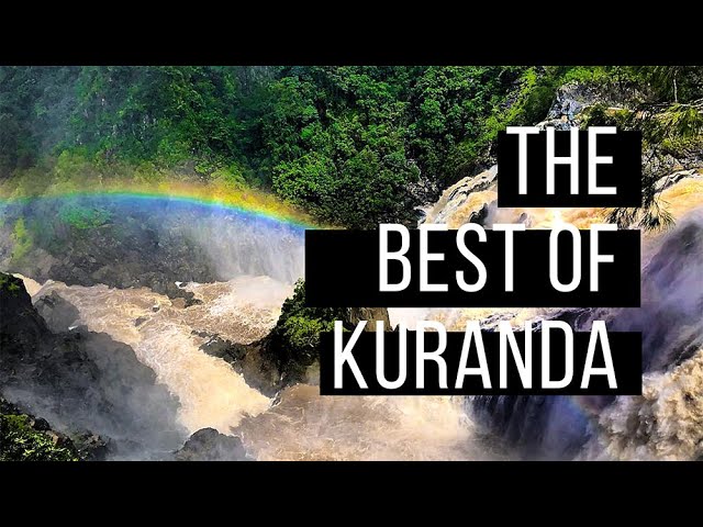 Tropic Wings || The Best of Kuranda, Tropical North Queensland!