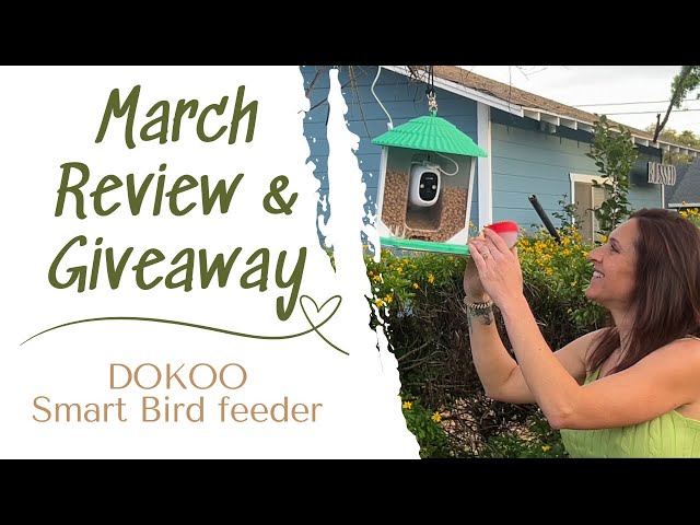 Dokoo Smart Birdfeeder Review and Giveaway