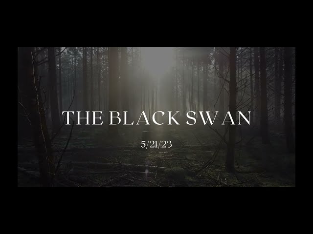 THE BLACK SWAN (BOOK RELEASE)