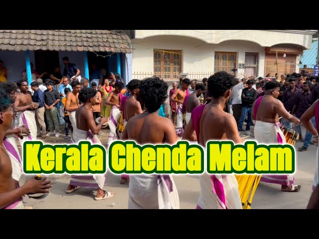 Chenda Melam | Kerala chenda melam | Kerala traditional music #music #chendamelam #melam #kerala