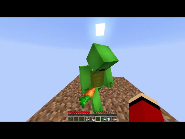 WHO TRAPPED In SKY in Minecraft!    Maizen