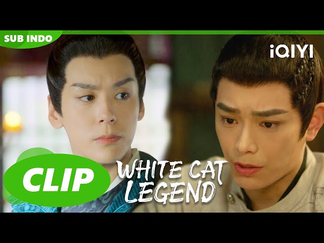 Li Bing dianggap sebagai monster oleh penduduk desa🙀🙀| White Cat Legend | CLIP | iQIYI Indonesia