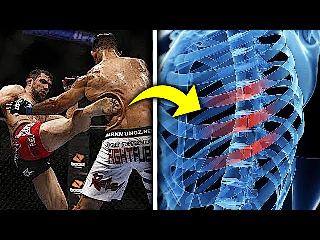 Extreme Pain... Most Brutal BODY KNOCKOUTS In Combatsport!