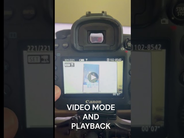 CANON 5D MARK IV LIVE ACTION FUNCTIONALITY