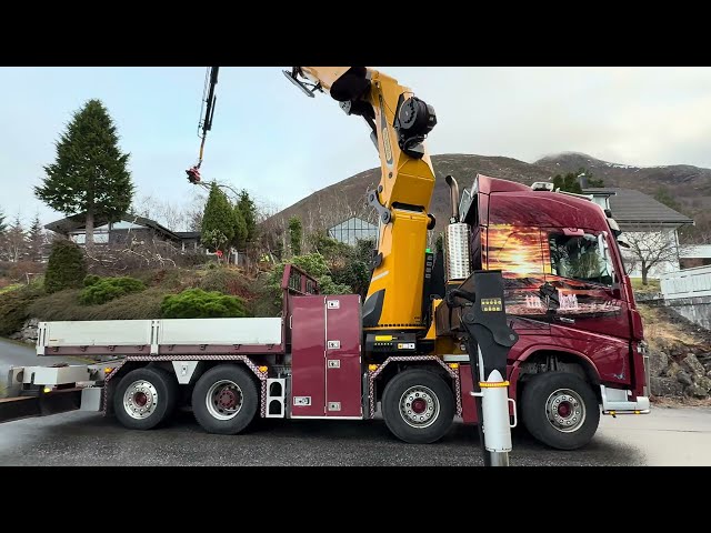 Treetop Removal With Palfinger Crane and Mecanil SG280 22 Jan-2025 (4K)