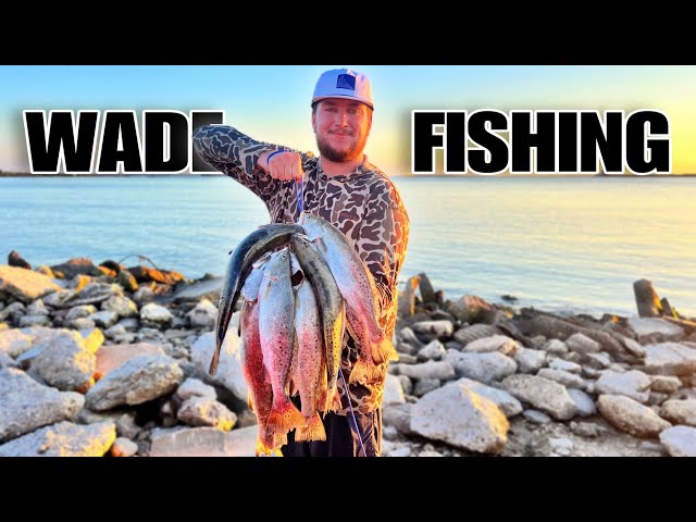 We caught HUNDREDS of SPECKLED TROUT while WADE FISHING! (Catch & Cook)