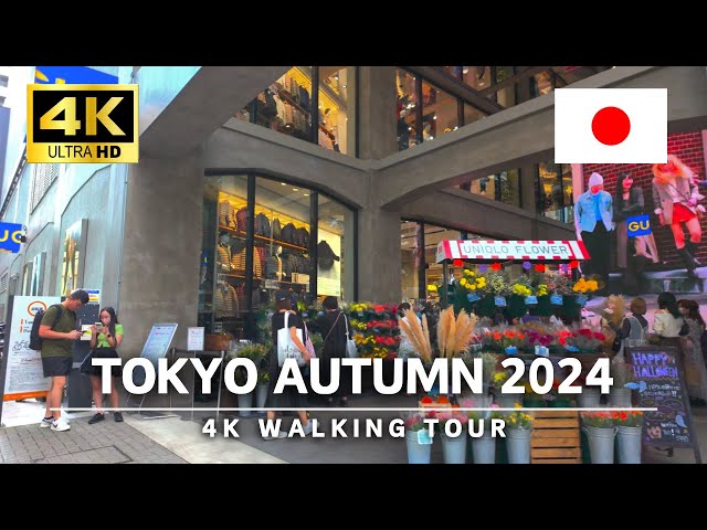 Tokyo Autumn 2024 - Japan 4K Walking Tour, Tokyo walk in Ginza｜4K HDR 60fps