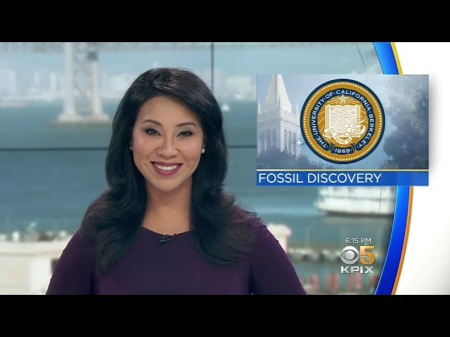 TV News Highlights featuring UC Berkeley, 2018