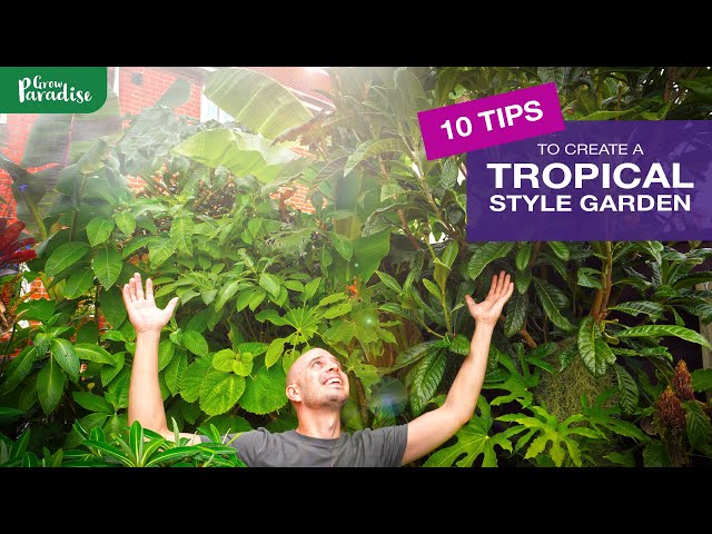 How to create a TROPICAL garden | 10 EASY TIPS