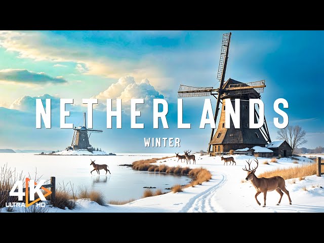 Winter Netherlands 4K ❄️ Discover a Magical Season in the Dutch Countryside