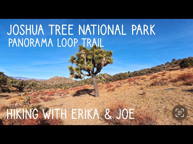 We hiked the Panorama Loop Trail in Joshua Tree National Park | 4K Hiking Guide & Review